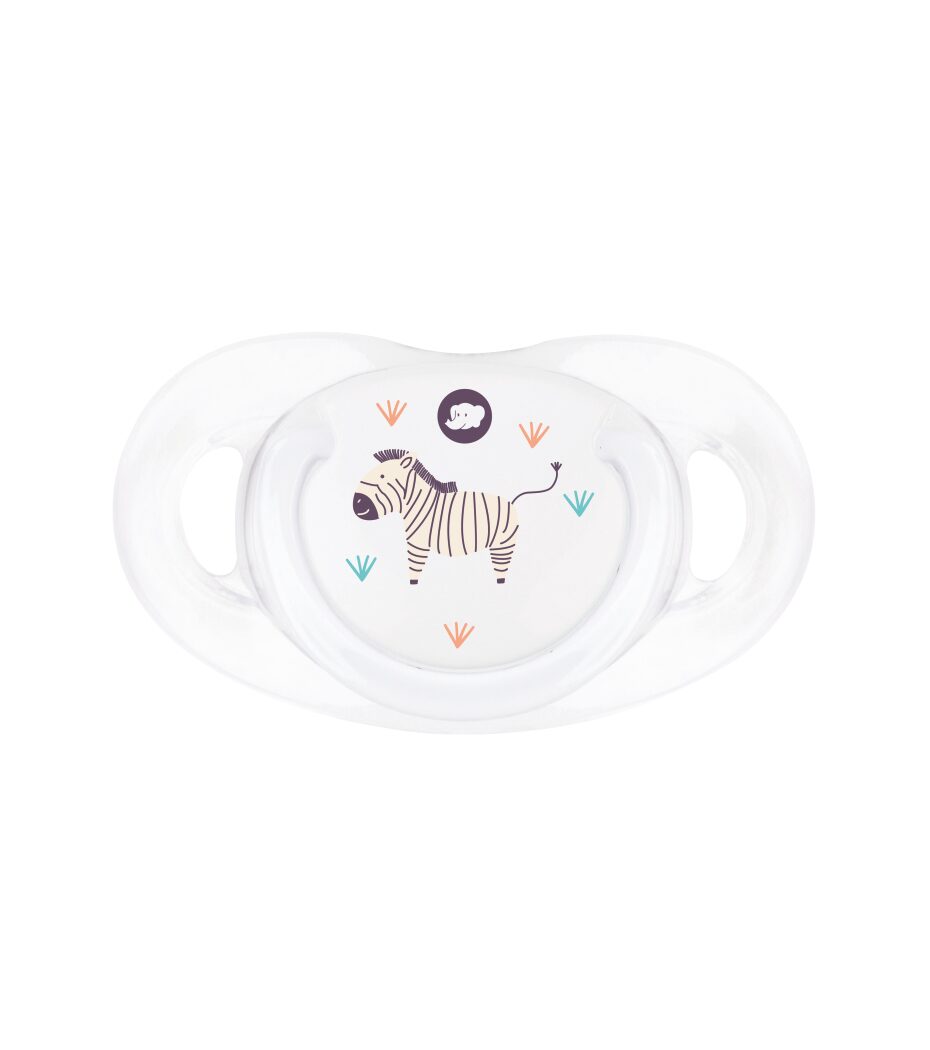 Dental Safe