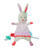 3602209000_2021_bebeconfort_toys_fl___softtoycolettebunny_roadtrippingsoother_front
